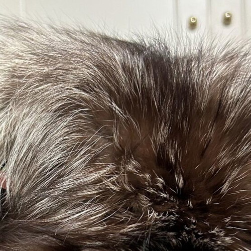 Authentic Vintage Fur / Silver Fox Leather brand new Ideal for home decoration