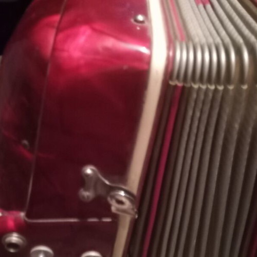Accordion used