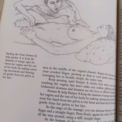 Book The art of sexual Ecstasy by Margo Anand used in excellent condition