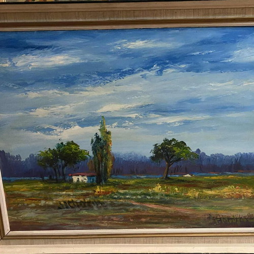 Oil painting G. Mougios 72/92 (60/80) like new, signed with frame