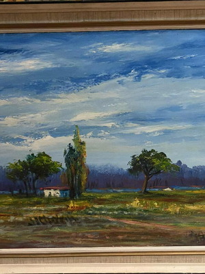 Ελαιογραφία Γ. Μούγιος 72/92 (60/80) σαν καινούργιο, υπογεγραμμένη με κορνίζα