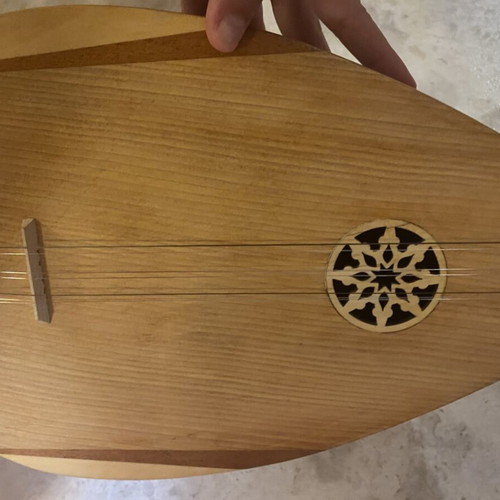 Student Tambouras with case, strings replaced
