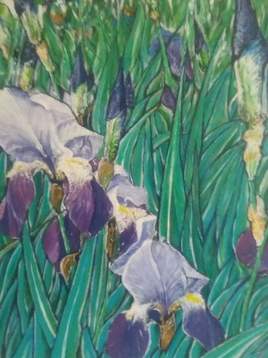 Original framed painting of irises by Milen Zanev, 70x50 cm