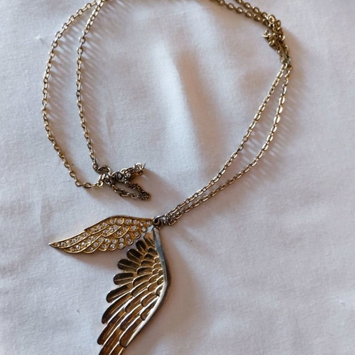 Pendant wings used with long chain