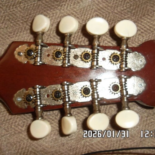 Italian Mandolin used with waterproof case and pickup