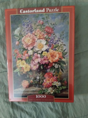 Puzzle 1000 pieces June Flowers Castorland new
