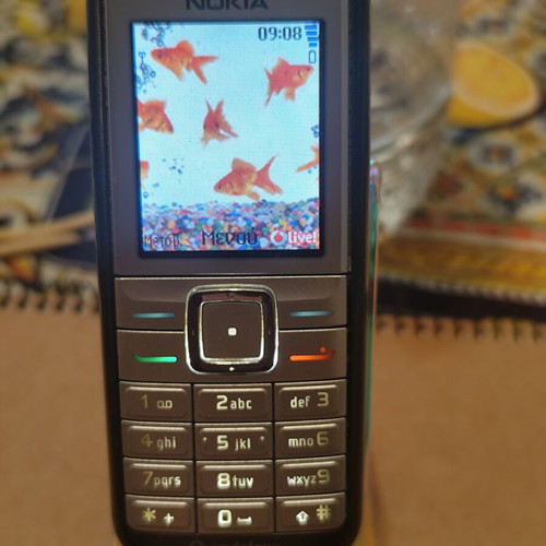 Nokia 6070 phone used, fully functional with charger