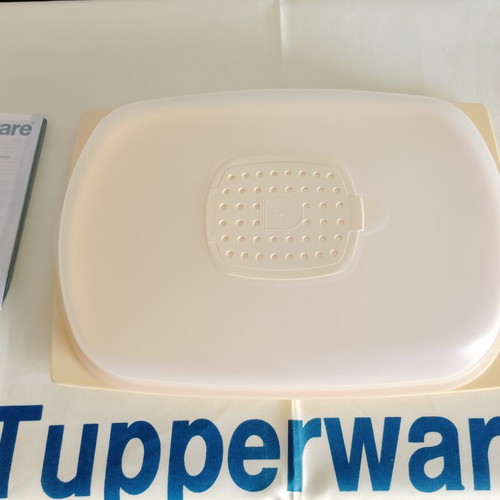 Smart low cheese keeper new