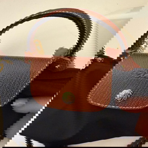 Mini longchamp bag