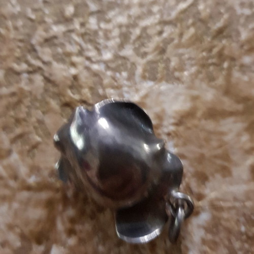 Silver pendant with ring set used