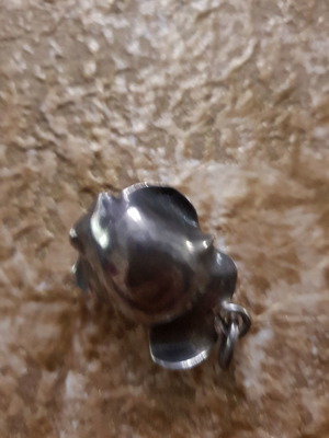 Silver pendant with ring set used