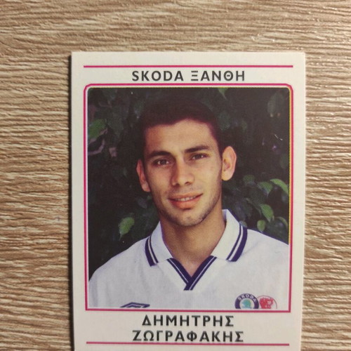Panini Football Sticker 2002