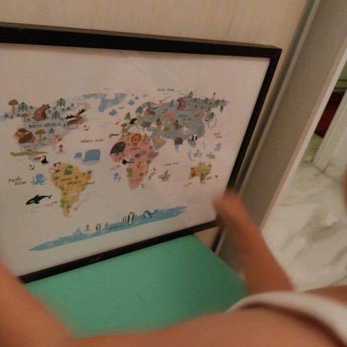 Desenio Framed Illustration of World Animal Map like new