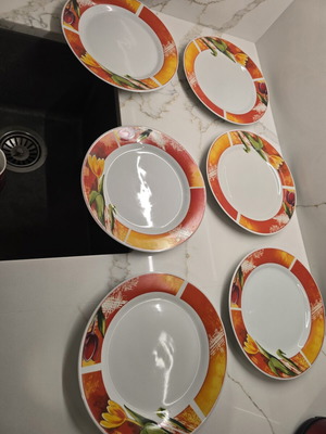 Dinner plates set of 6