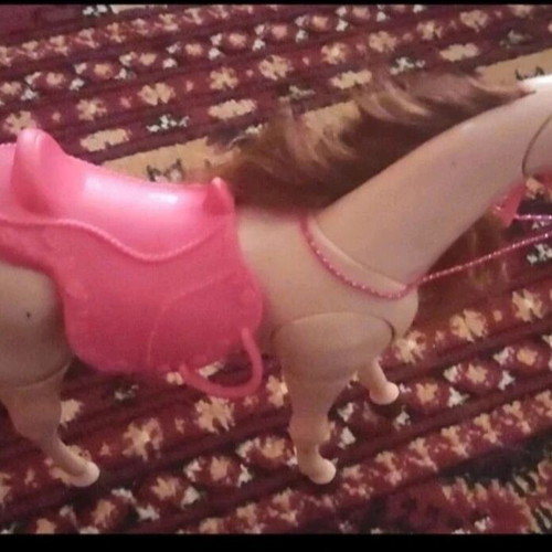 Barbie accessories like new
