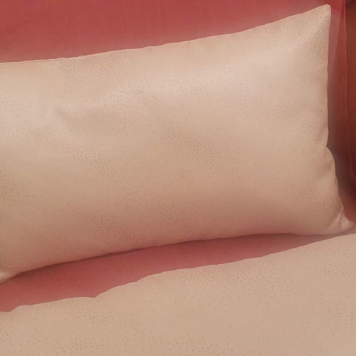 Pillows used with pillowcase 50cm x 30cm set