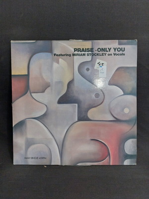 Praise Only You μεταχειρισμένο, ηλεκτρονική μουσική