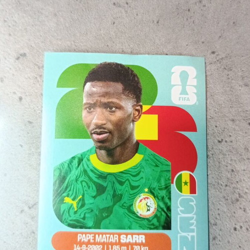 Panini FIFA World Cup 2026 Sticker like new