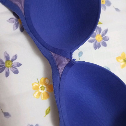 Hop Lun Executive bra new, blue, size 80D
