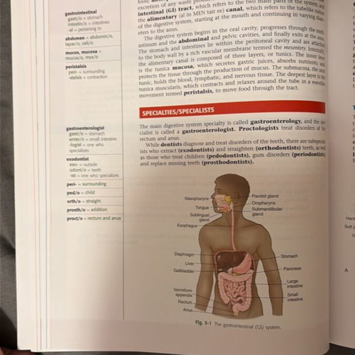 Specialized English Terminology in Health Sciences book new