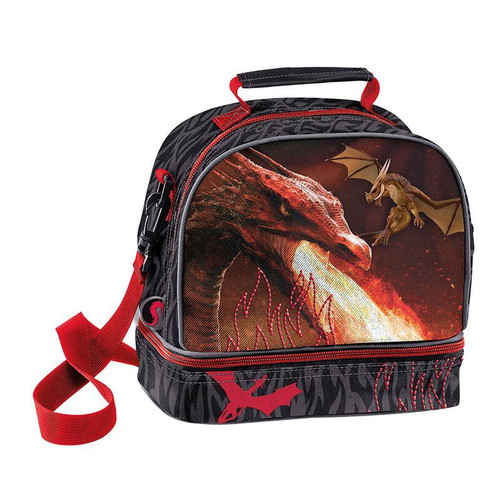 Insulated lunch bag Dragon used, 2 compartments