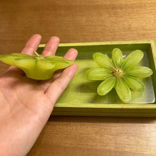 Green flower-shaped tealight candles in wooden base new