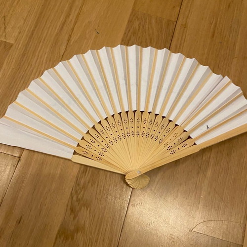 Handmade painted fan new, summer accessory