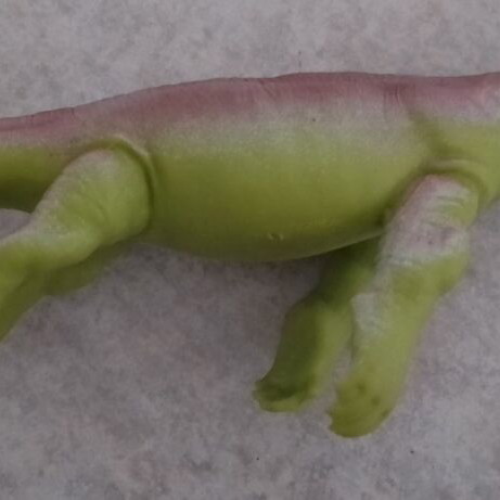 Rubber sea animal toys pack of 4 used