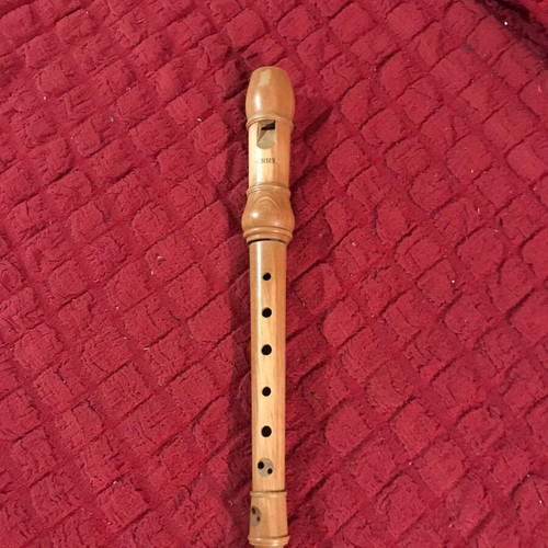 Ariel recorder used from rosewood with free book