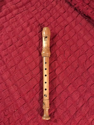Ariel recorder used from rosewood with free book