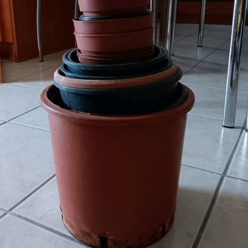 Plastic flower pots used, pack of 22, black and terracotta