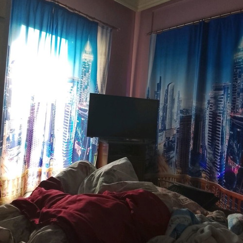 Curtains night cityscape set of 4 like new
