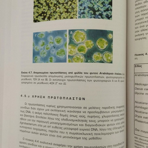 Plant biotechnology new, Polydefkis Chatzopoulos