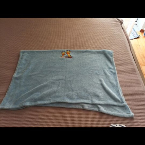 Baby cuddle blanket like new