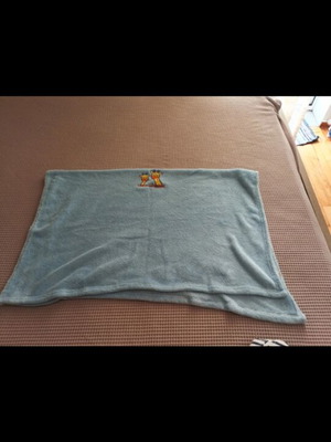 Baby cuddle blanket like new