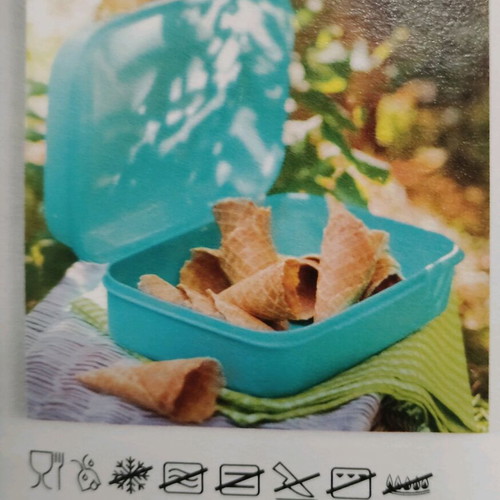 Large Delis New Multipurpose Container