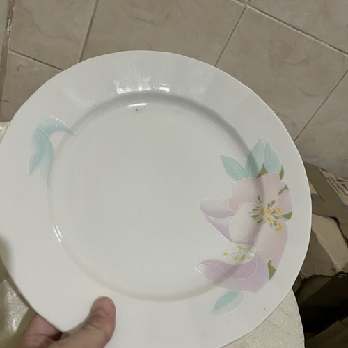 Royal Porcelain Bavaria Style plates like new, 2 pieces