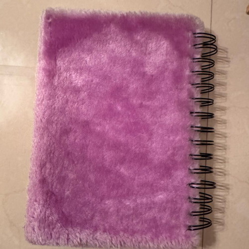 Minnie Mouse Fuzzy Notebook like new, authentic Disney World