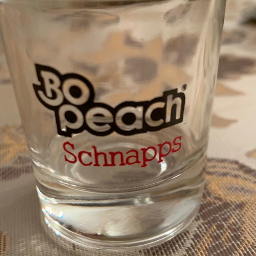Glass Shot Glasses Set of 6 new with Bo peach schnapps gift