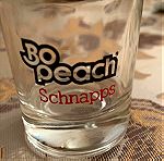  Σετ Σφηνοπότηρα Γυάλινα 6τμχ & δώρο Bo peach schnapps