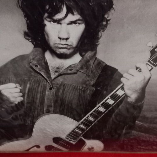 Gary Moore Wild Frontier βινύλιο σαν καινούργιο, ροκ
