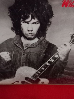 Gary Moore Wild Frontier βινύλιο σαν καινούργιο, ροκ