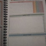 Cleaning and Decluttering Book like new