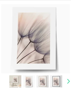 Αφίσες για διακόσμηση τοίχου καινούργιες με θέμα τη φύση, σετ 3 τεμαχίων