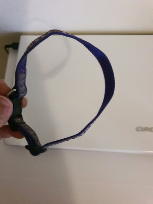 Dog leash used
