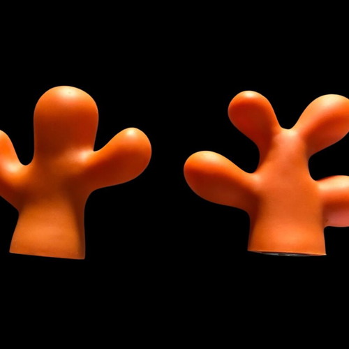 Salt and pepper shaker used with cactus and coral shape orange