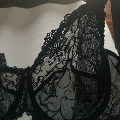 Lise Charmel Antigel bra new, black lace, size 105F