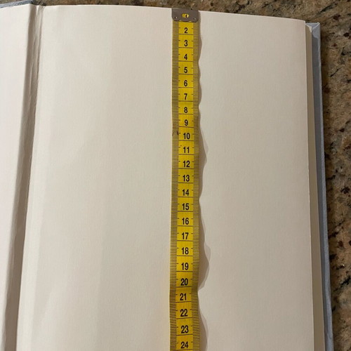 Princelino children's photo album like new with silver balloon design