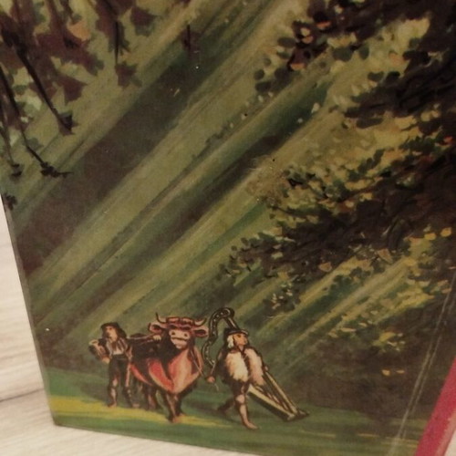 Children's novel Without Family used