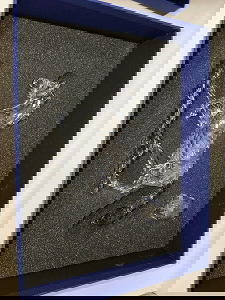 Swarovski SCS Annual Edition 2014 Horse Esperanza